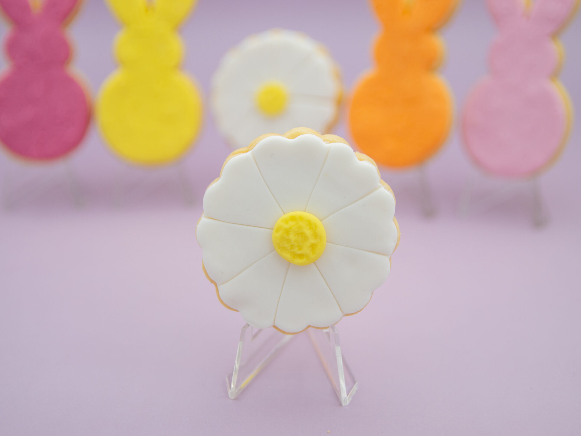 White daisy fondant Easter cookie with yellow centre